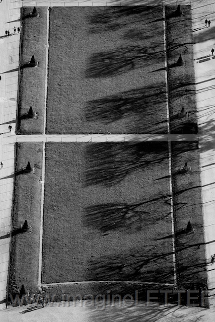 Wall_Art_Alphabet_Photography_Art_ 786.jpg